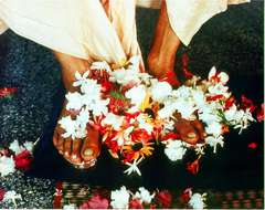prabhupada_s_divine_lotus_feet.jpg