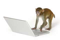 monkey_at_work.jpg